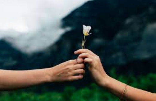 Não te deixes vencer do mal, mas vence o mal com o bem.