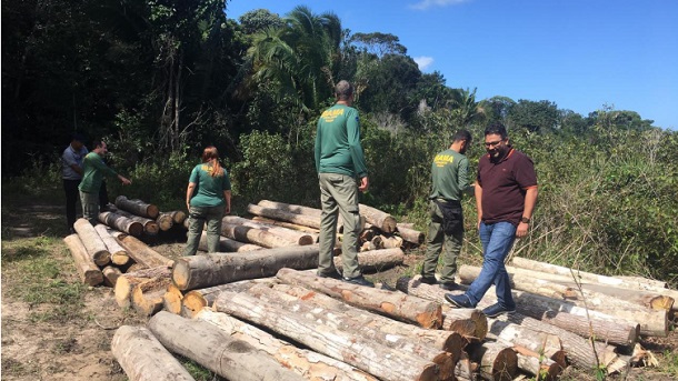 Polícia de Sergipe e IBAMA apreendem 100 toras de madeiras de Mata Atlântica e fecha serraria clandestina