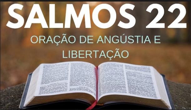 Livra a minha alma da espada, e a minha predileta da força do cão…