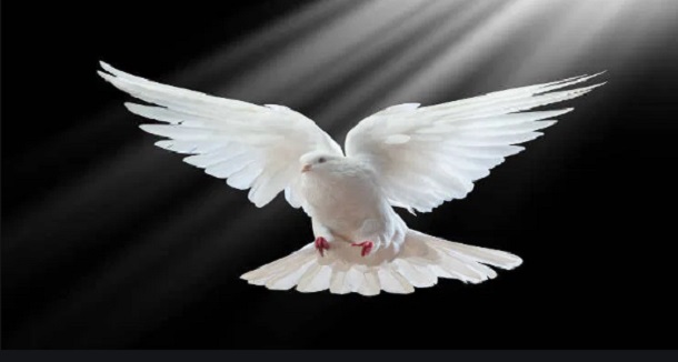 Visto que Deus é um só, que justifica pela fé a circuncisão, e por meio da fé a incircuncisão.  Romanos 3:30