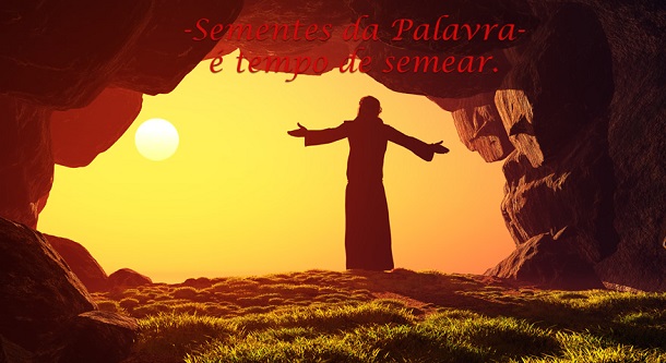 Assim os derradeiros serão primeiros, e os primeiros derradeiros; porque muitos são chamados, mas poucos escolhidos.  Mateus 20:16