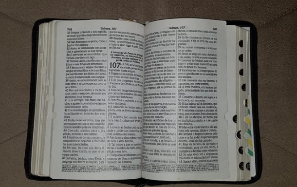 Versículos do dia …