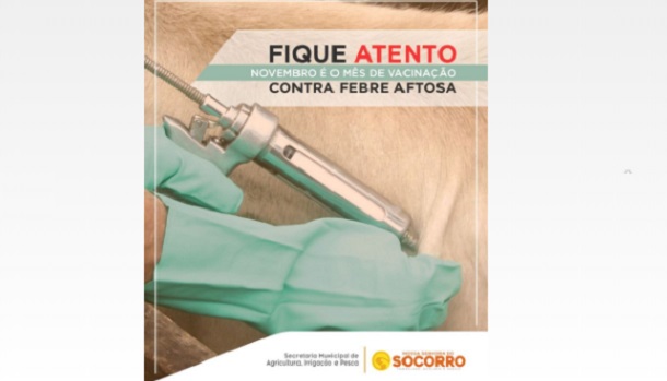 Campanha de Vacinação contra a febre -afitosa é iniciada em Nossa Senhora do Socorro
