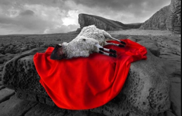 O qual nos tirou da potestade das trevas, e nos transportou para o reino do Filho do seu amor;  Colossenses 1:13