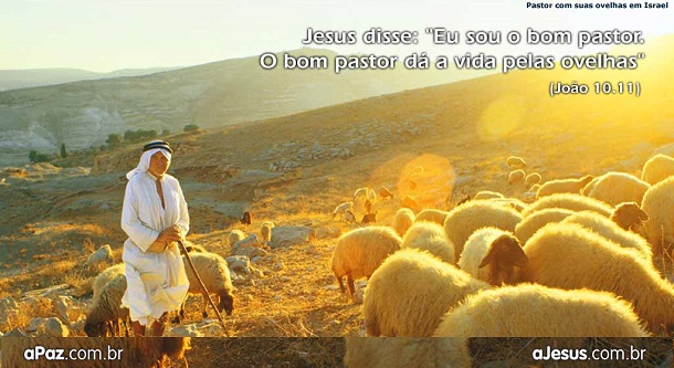 Porque assim diz o Senhor DEUS: Eis que eu, eu mesmo, procurarei pelas minhas ovelhas, e as buscarei.  Ezequiel 34:11