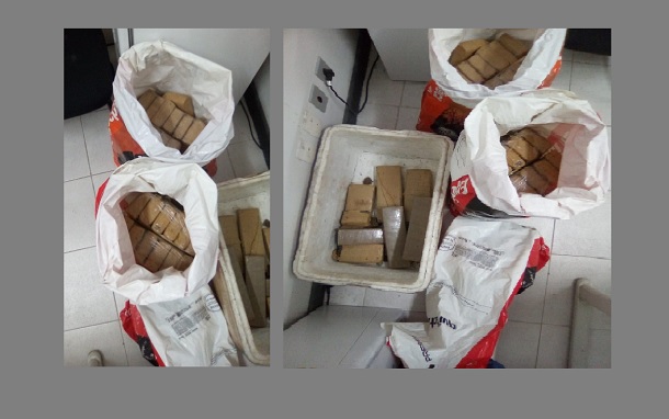 Polícia Civil de Sergipe apreende mais de 54 quilos de maconha no Bairro Japãozinho em Aracaju