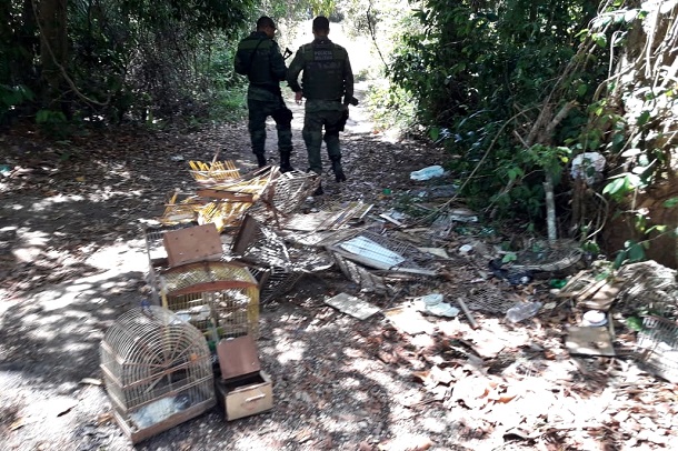 Pelotão Ambiental resgate quase 60 aves silvestres na Feira das Trocas no Lamarão