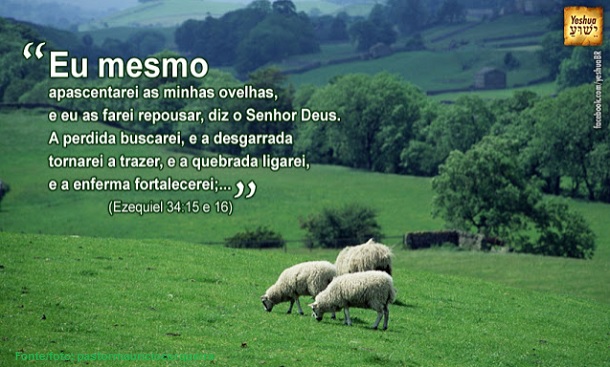 A perdida buscarei, e a desgarrada tornarei a trazer, e a quebrada ligarei…