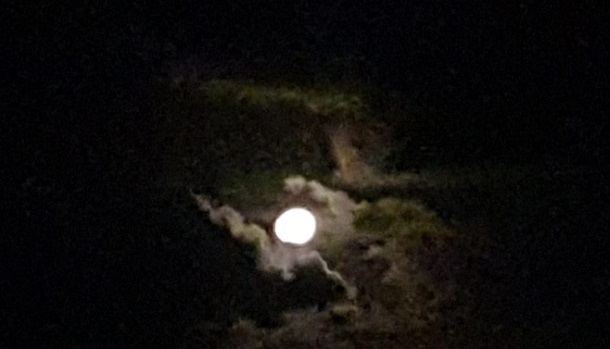 O reino dos céus é semelhante a um certo rei que celebrou as bodas de seu filho;  Mateus 22:2