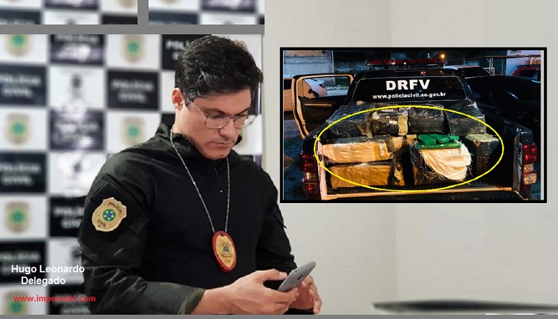 Polícia de Sergipe encontra mais de meia tonelada de maconha em apartamento da Maracaju