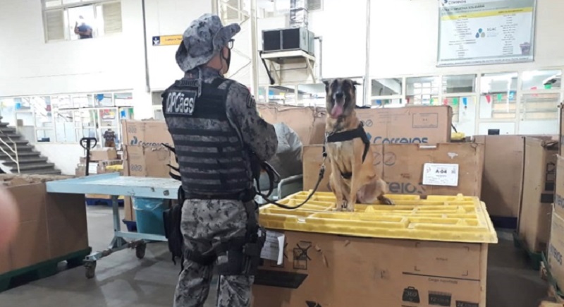 Cadela da PM encontra droga nos correios em Aracaju