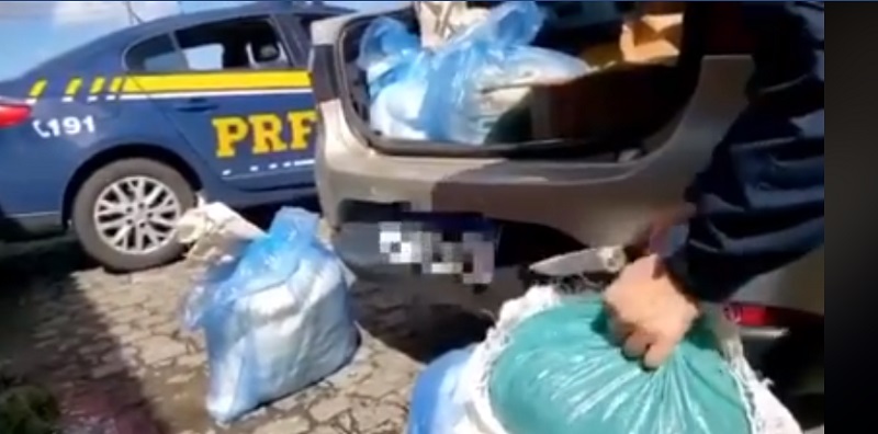 Maconha que saiu de Pernambuco é apreendida em Sergipe pela PRF