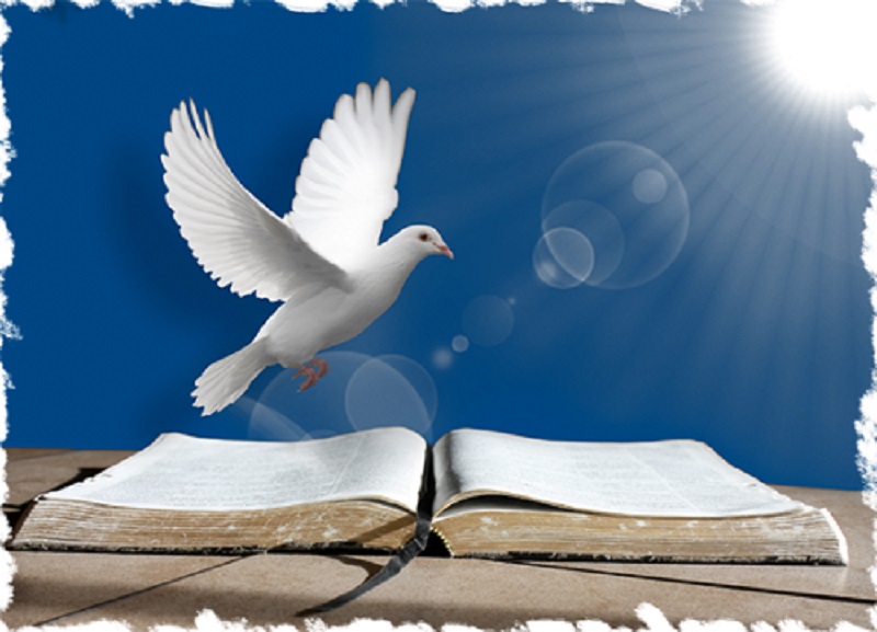 Ora, o fruto da justiça semeia-se na paz, para os que exercitam a paz. Tiago 3:18