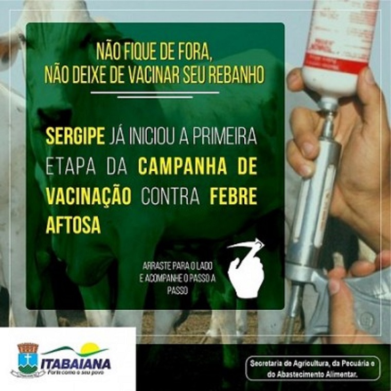 PREFEITURA DE ITABAIANA COMEÇA CAMPANHA DE VACINAÇÃO CONTRA A FEBRE AFTOSA DE 2020