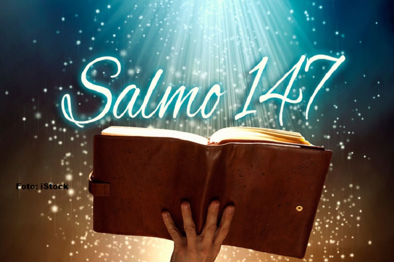 O Senhor se agrada dos que o temem e dos que esperam na sua misericórdia.