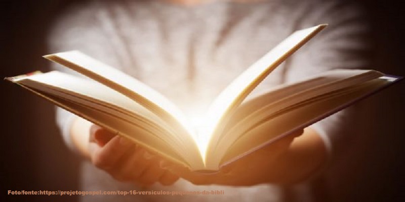 Jesus dizia, pois, aos judeus que criam nele: Se vós permanecerdes na minha palavra,