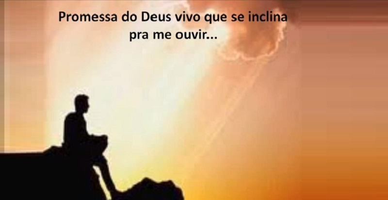 E para vós olharei, e vos farei frutificar, e vos multiplicarei, e confirmarei a minha aliança convosco.  Levítico 26:9