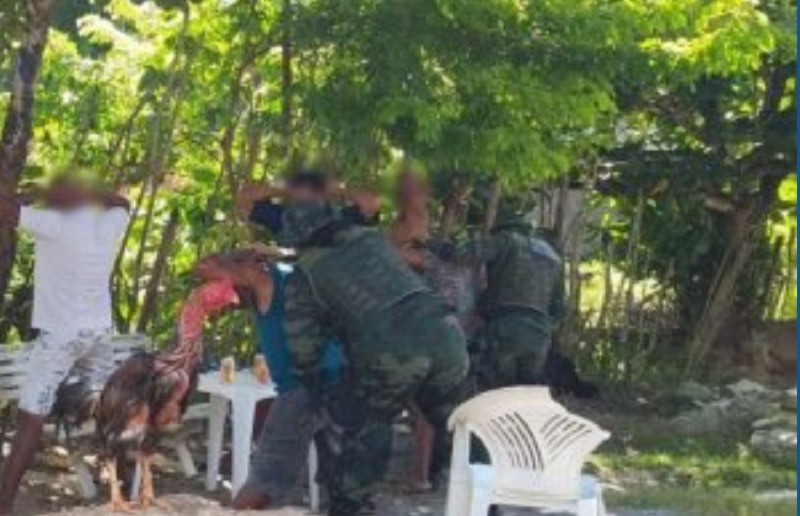 Polícia flagra rinha de galo onde animais estavam em maus tratos