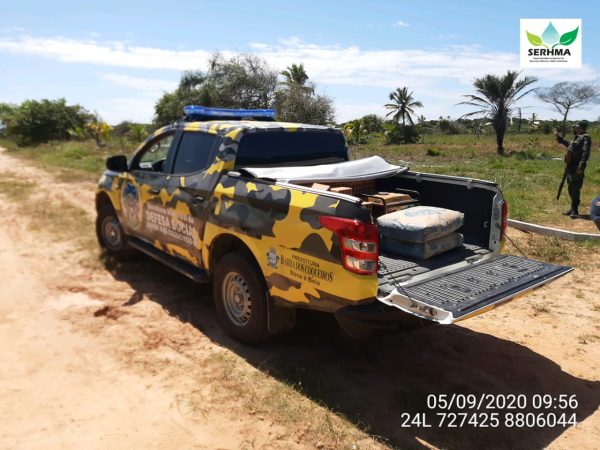 Duas pessoas foram autuadas por crime ambiental em municípios da Grande Aracaju