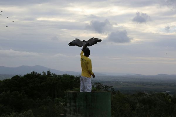 Parque dos Falcões é declarado Patrimônio Cultural de Sergipe