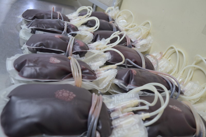 Hemose reforça necessidade aumentar as doações de sangue