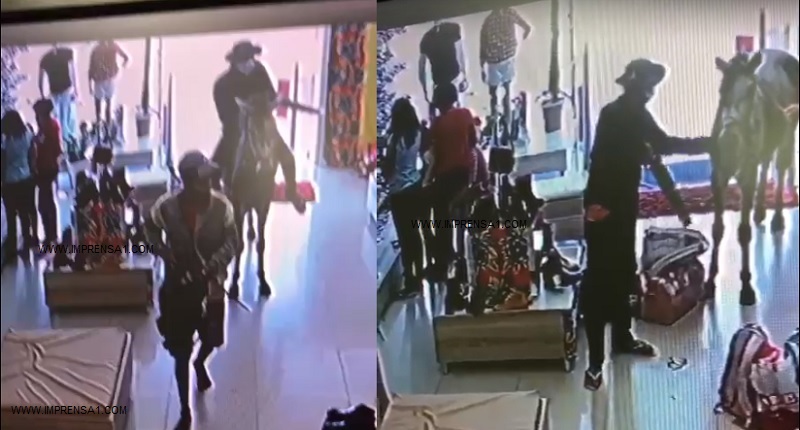 Bandidos assaltam loja montados em uma égua, veja os vídeos.