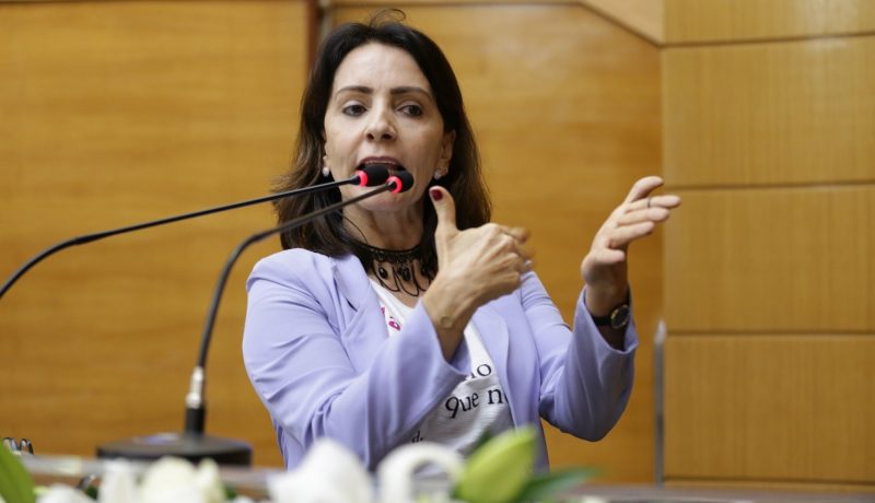 Emília destaca dificuldades dos defensores públicos federais e estaduais durante a pandemia