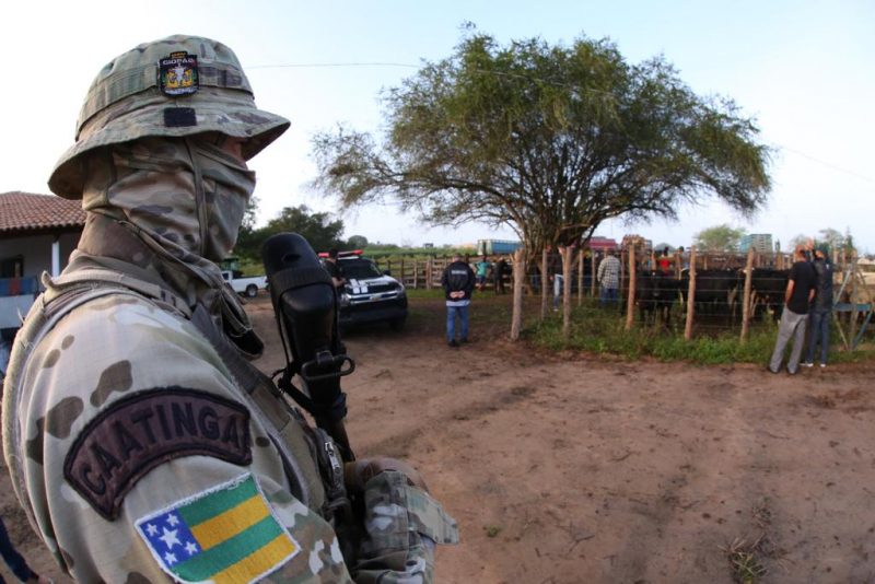 Operação: Polícia flagra feira com venda de gado sem registro