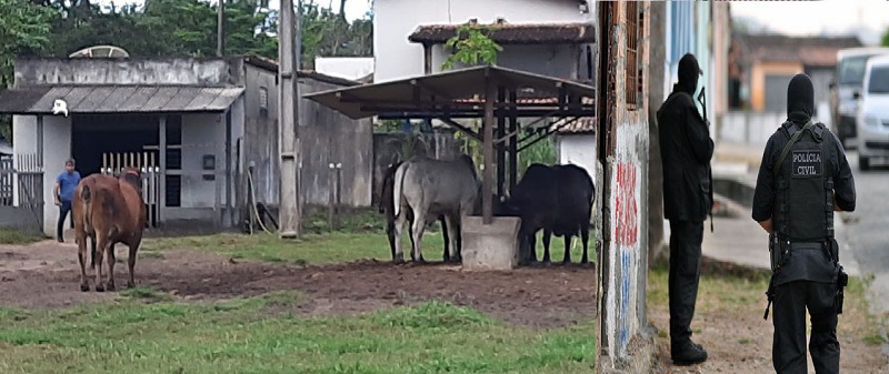 Suspeitos de roubar gados em Sergipe são presos