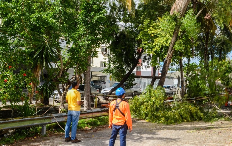 Prefeitura anuncia nesta terça-feira o plantio de 3.500 mudas em Aracaju