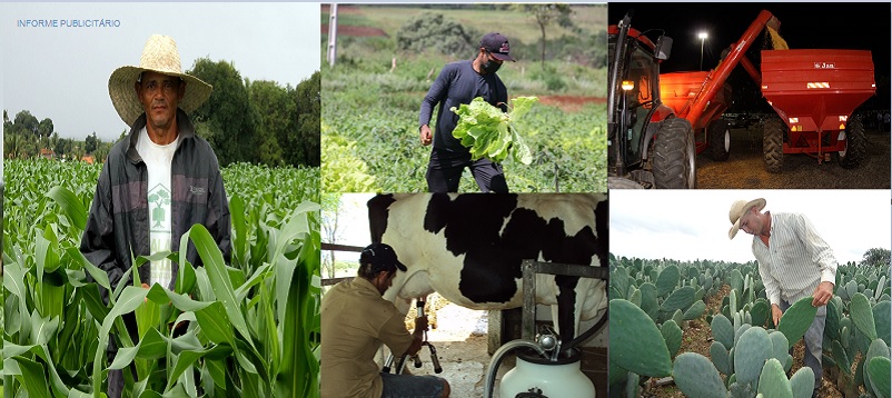 Governo do Estado investiu mais de R$ 20 milhões na expansão da economia rural