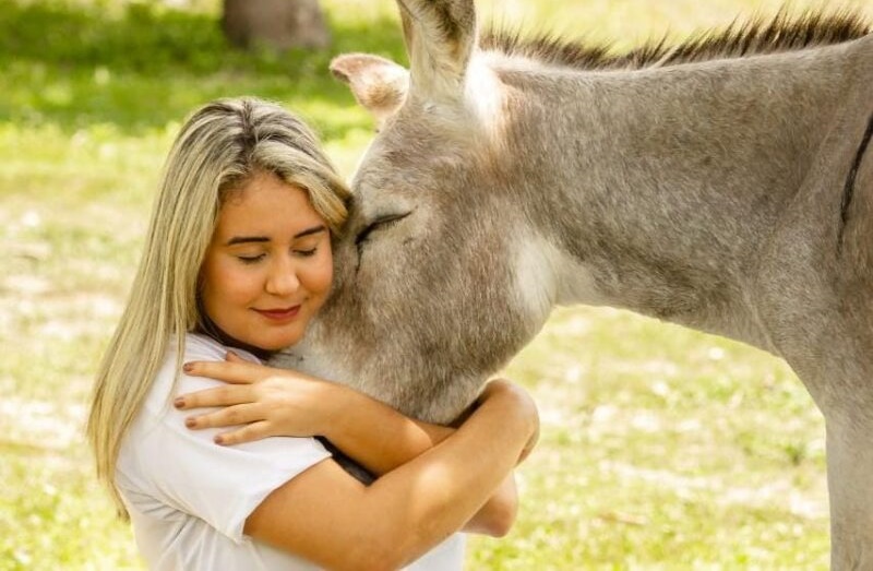 Kitty Lima comemora decisão do STF que proíbe extermínio de animais