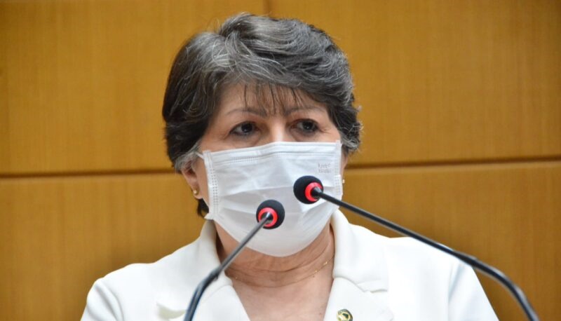 Maria Mendonça apela para que bancada federal vote a favor de PL que trata da isenção de IPI