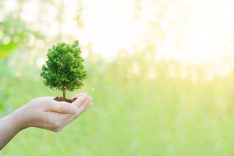 Itabaiana realizará Capacitação de Gestão Ambiental Intermunicipal