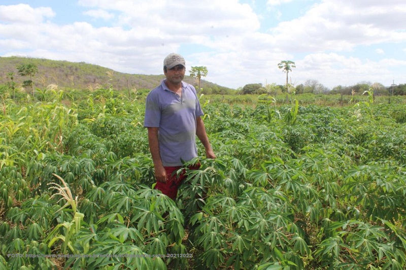 Garantia-Safra 2021/2022: agricultores familiares já podem aderir ao programa