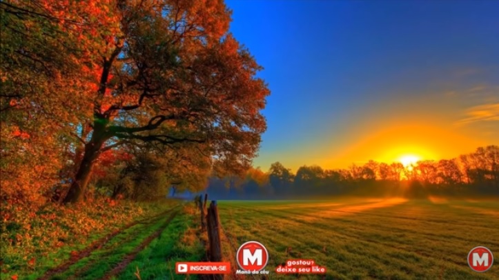 E rasgai o vosso coração, e não as vossas vestes, e convertei-vos ao Senhor vosso Deus