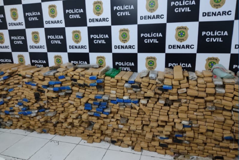 Denarc apreende mais de uma tonelada de maconha