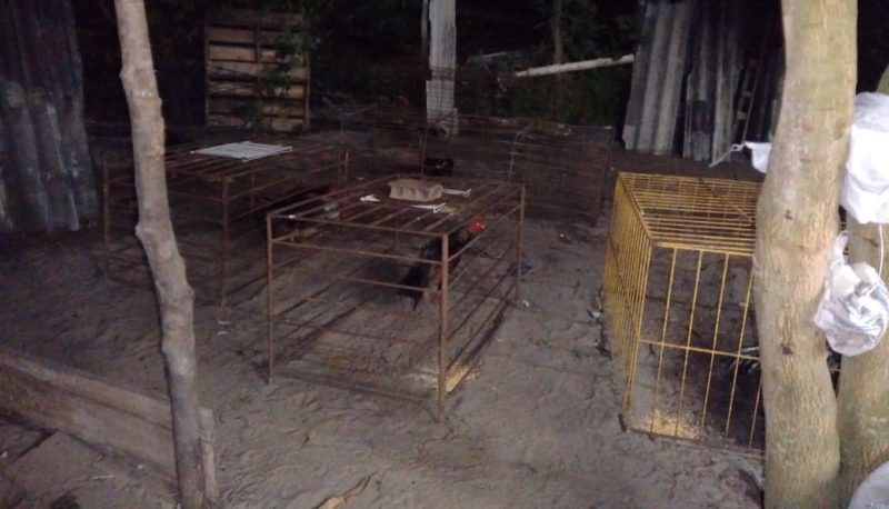 Polícia fecha rinha de galo em Nossa Senhora do Socorro