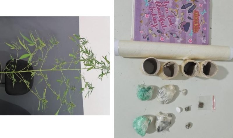 Suspeito é preso com maconha e cocaína no município de Propriá