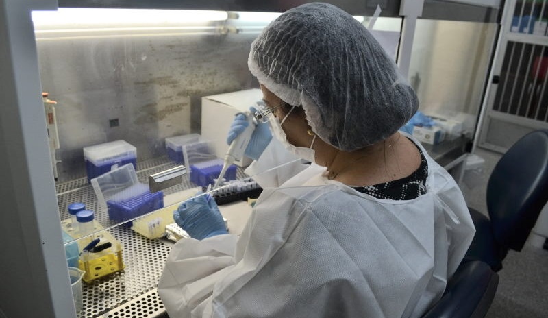 SES emite alerta sobre circulação do vírus Influenza A em Sergipe