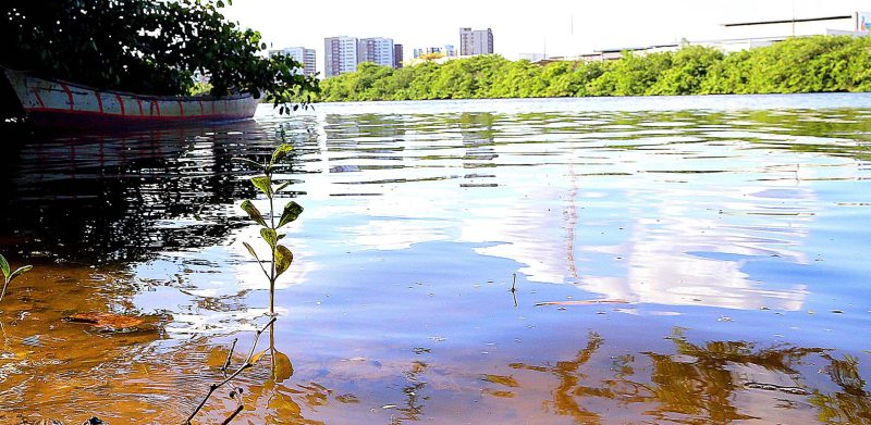 Elaboração do Plano de Manejo do Parque Rio Poxim entra em nova etapa
