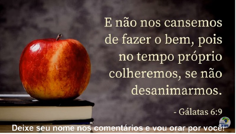 Assim será a minha palavra, que sair da minha boca; ela não voltará para mim vazia