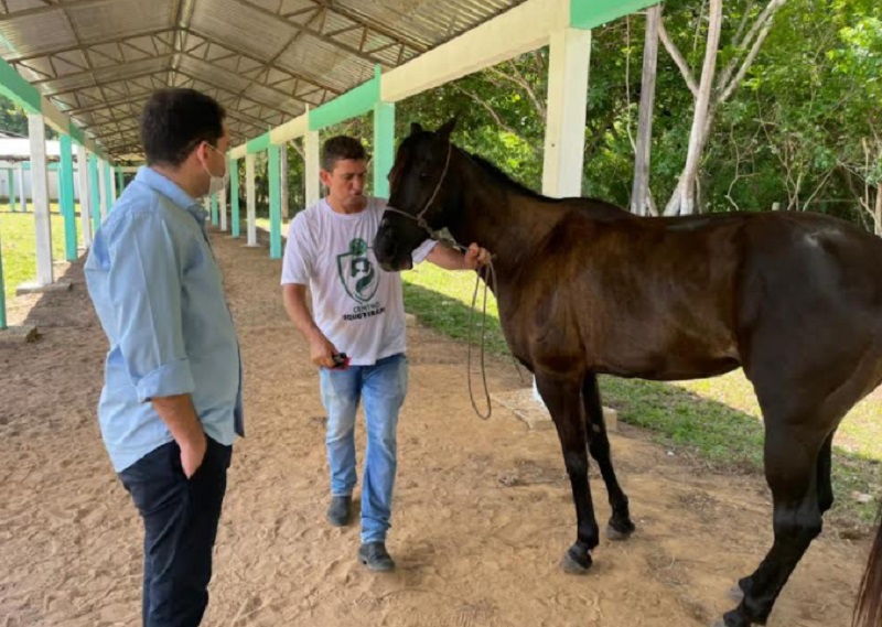 Neto Batalha destaca tratamento para crianças com necessidades especiais através da Equoterapia