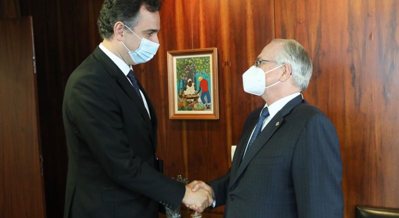 Presidente do Senado defende eleições em clima de normalidade