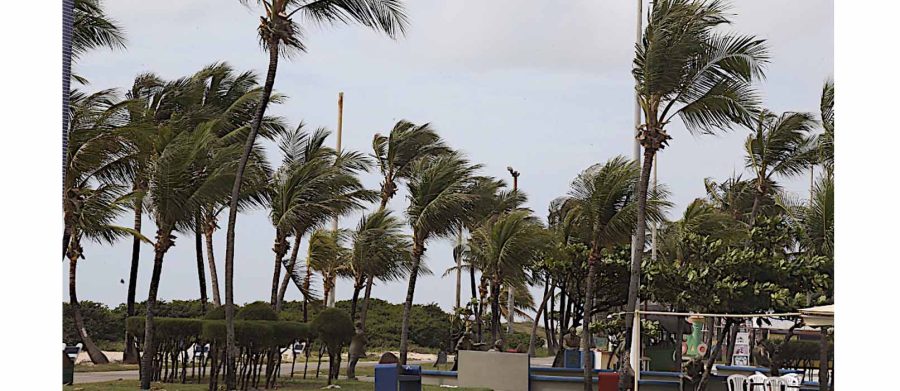 Chuvas permanecem no estado até a próxima quinta-feira, 2