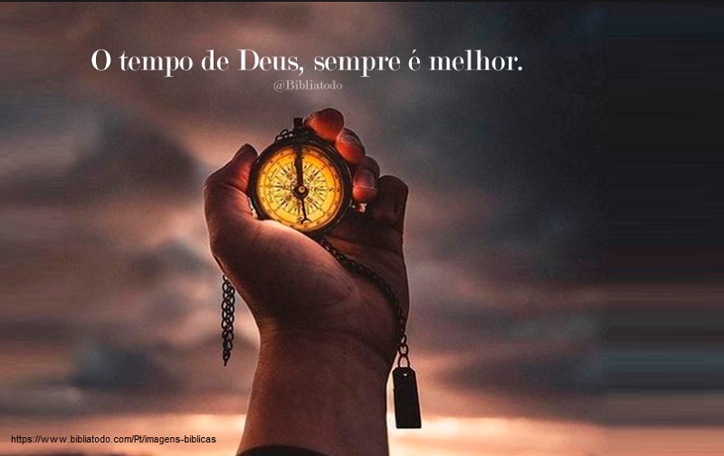 E não somente isto, mas também nos gloriamos nas tribulações; sabendo que a tribulação produz a paciência,  Romanos 5:3