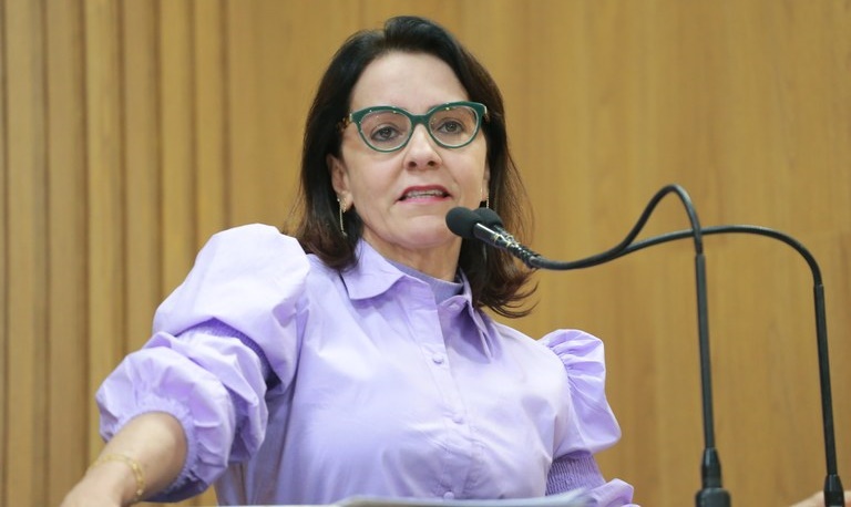 Emília cobra que PMA cumpra Lei de Transparência nas placas de obras