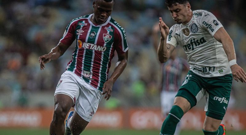 Brasileiro: Palmeiras sai na frente com golaço, mas Flu empata em casa