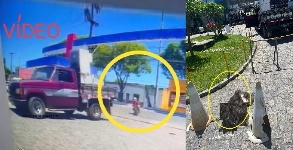 Homem morre esfaqueado porque atropelou cachorro