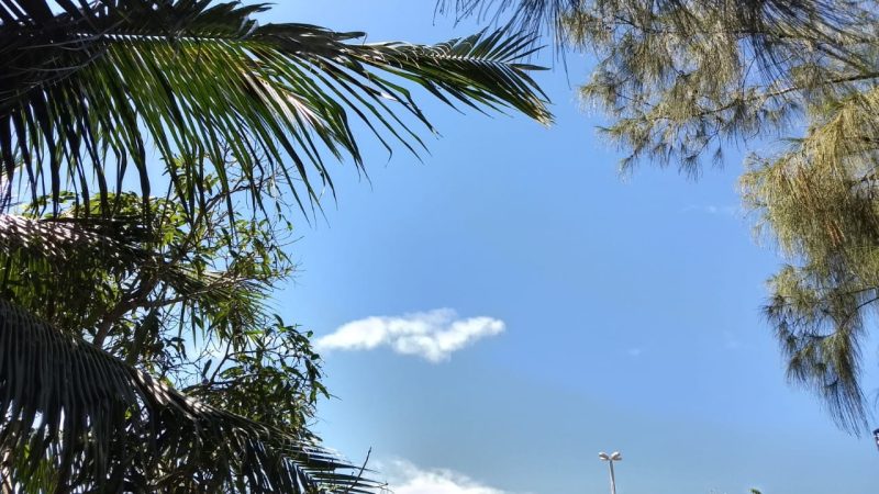 Primeiro fim de semana da Primavera será de céu aberto e temperaturas mais elevadas